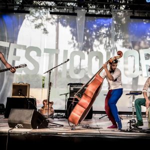 Concert Bazar et bémols à Festicolor 2017© Michel Piedalu