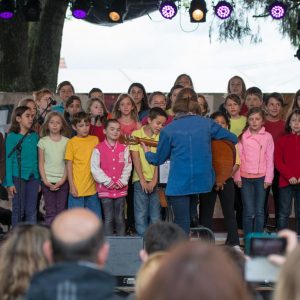 Concert École de musique à Festicolor 2015 ® Pierre Derouette