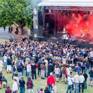 Concert samedi à Festicolor 2015 ® Pierre Derouette