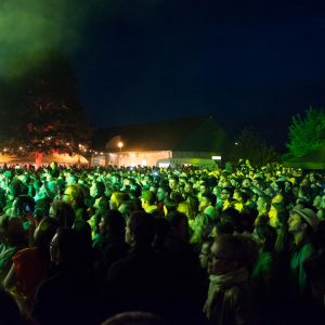 Concert samedi à Festicolor 2015 ® Pierre Derouette