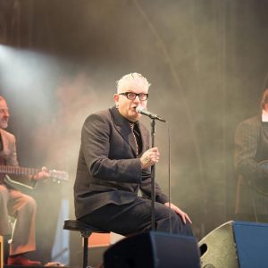 Concert Sanseverino à Festicolor 2015 ® Pierre Derouette