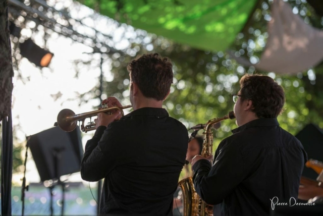 Concert The Riots à Festicolor 2015 ® Pierre Derouette
