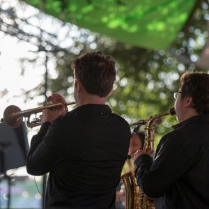 Concert The Riots à Festicolor 2015 ® Pierre Derouette