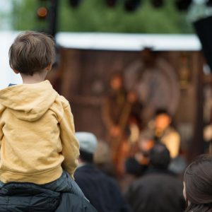 Concert vendredi à Festicolor 2015 ® Pierre Derouette