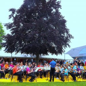 Concert Harmonie à Festicolor 2016 ® Clodelle 45