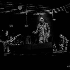 Concert Têtes Raides à Festicolor 2022 © M. Piedallu